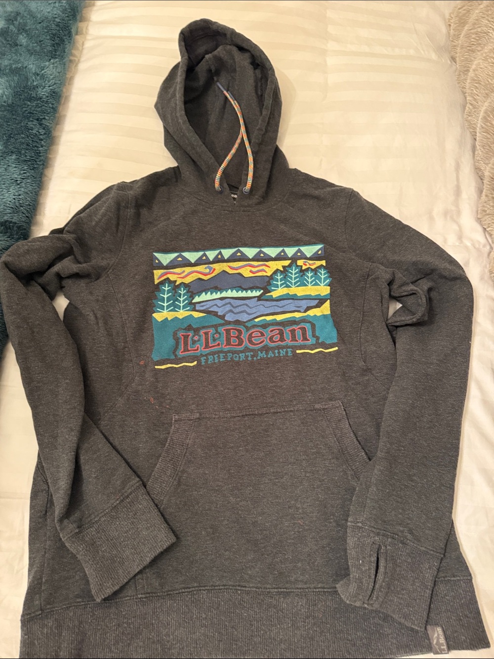 L.L. Bean Dark Gray Pullover Hoodie with Colorful Outdoor Graphic
